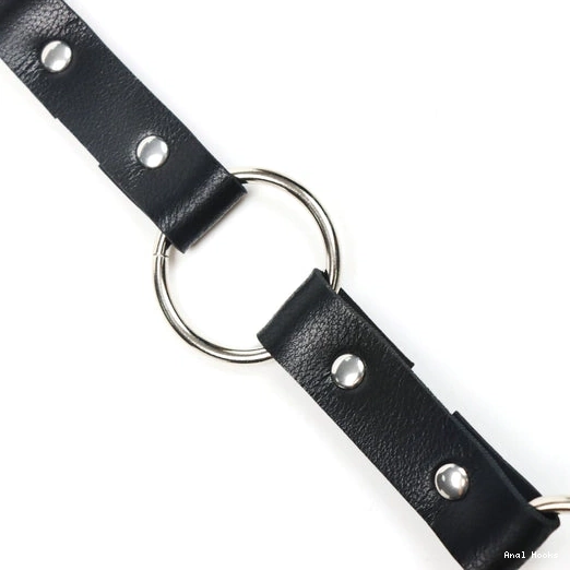 Anal Hooks and 5853 Collar Leash with Anal EverydayUse Kinky Hook 1006